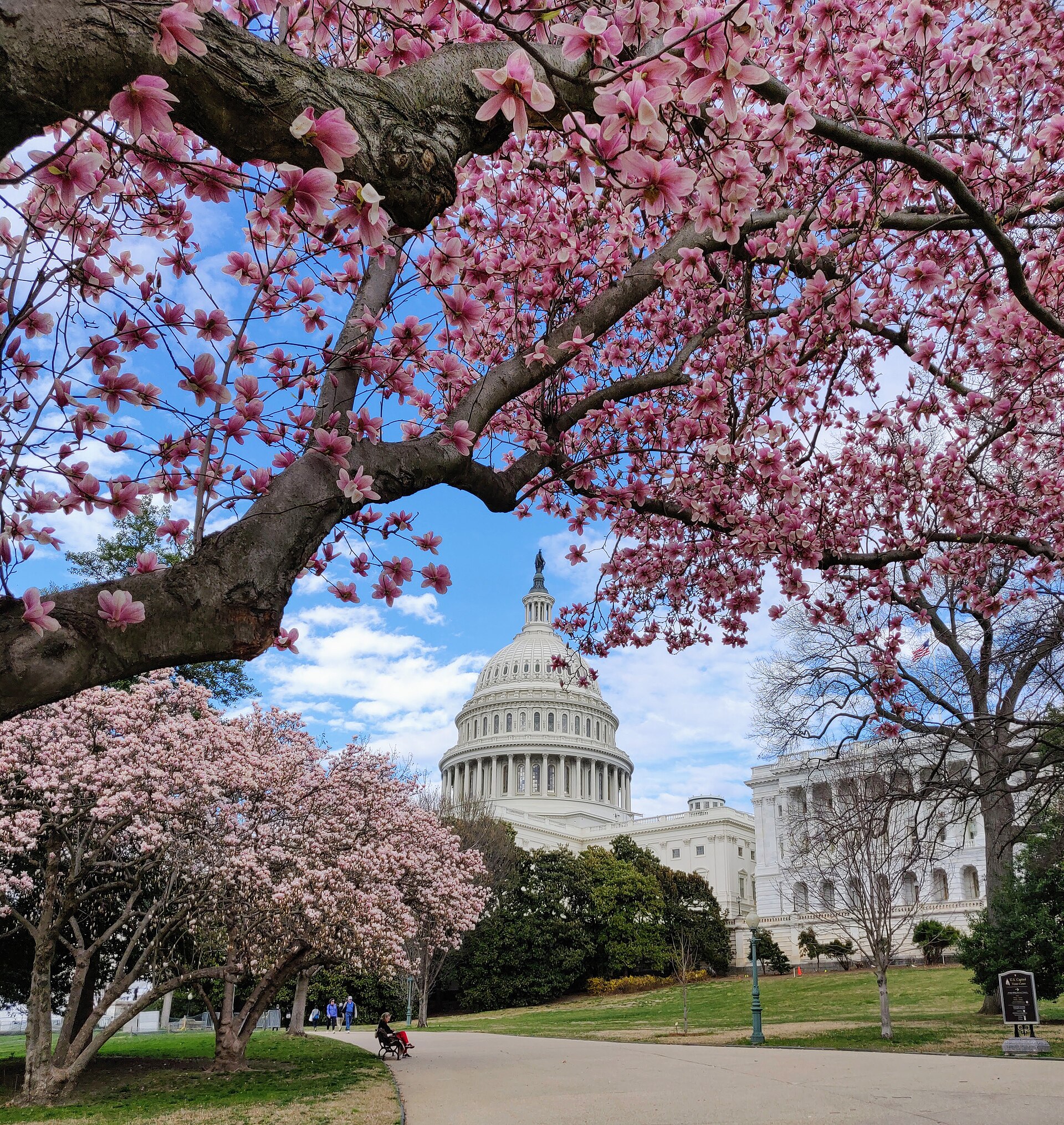 Congressional App Challenge